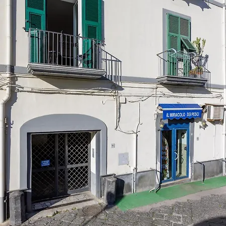 Apartman Nerea Luxury *